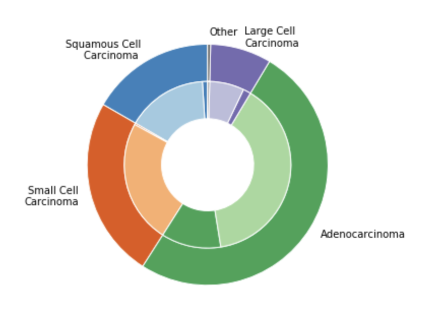 Pie chart example